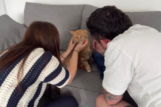 Ginge reunited with his owners after 11 months apart