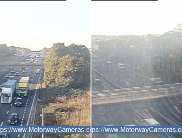 M1 is disrupted by 'animals on road'