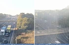 M1 is disrupted by 'animals on road' 