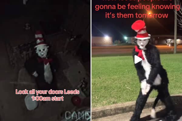 Parents have been told all about the Cat in the Hat viral trend