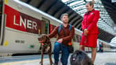 LNER  has launched its Pet Champions scheme to help make rail travel easy for people travelling with pets. 
