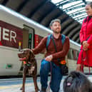 LNER  has launched its Pet Champions scheme to help make rail travel easy for people travelling with pets. 