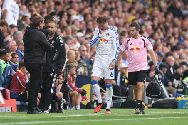 Joe Rodon cut a devastated figure after his injury against Brentford.