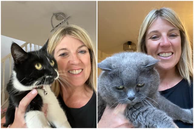 Bridgitte Causer, 55, launched The Cat Butler SW Leeds earlier this year