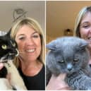 Bridgitte Causer, 55, launched The Cat Butler SW Leeds earlier this year