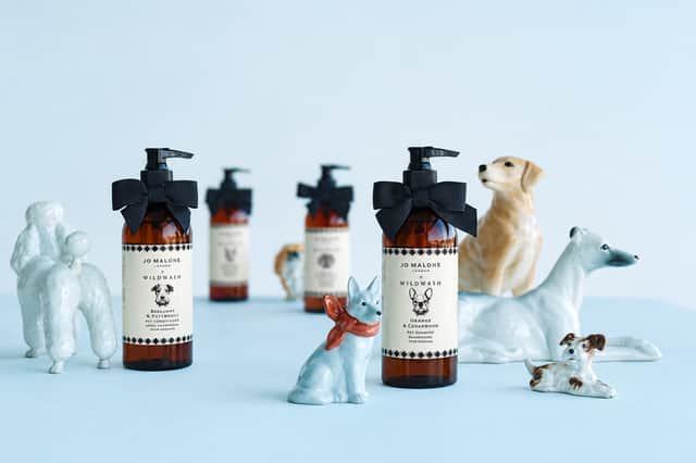 Jo Malone London’s new Orange & Cedarwood Dog Shampoo takes centre stage among a playful pack of ceramic pooches.