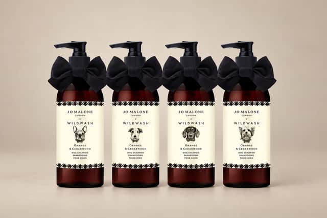 Jo Malone London’s Orange & Cedarwood Dog Shampoo comes in four collectible bottle designs featuring a French bulldog, Jack Russell, Dachshund or West Highland White Terrier.