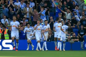 Leeds United remain in the top-half of the Premier League following Saturday’s draw at Brighton.