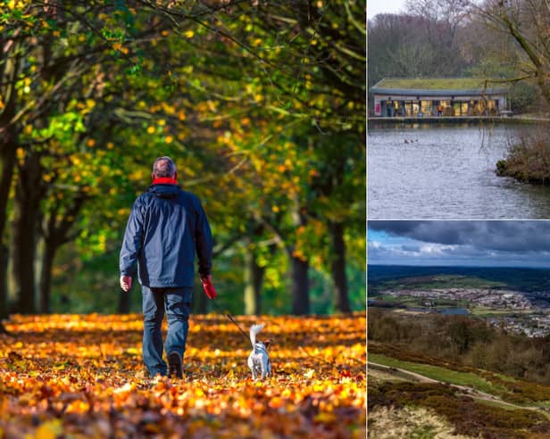 Where is the best spot in Leeds for an autumnal walk? From sweeping historic estates to hidden woodland trails, here are 7 top recommendations chosen by YEP readers  