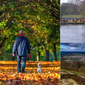 Where is the best spot in Leeds for an autumnal walk? From sweeping historic estates to hidden woodland trails, here are 7 top recommendations chosen by YEP readers  