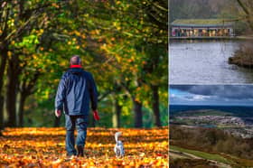 Where is the best spot in Leeds for an autumnal walk? From sweeping historic estates to hidden woodland trails, here are 7 top recommendations chosen by YEP readers  
