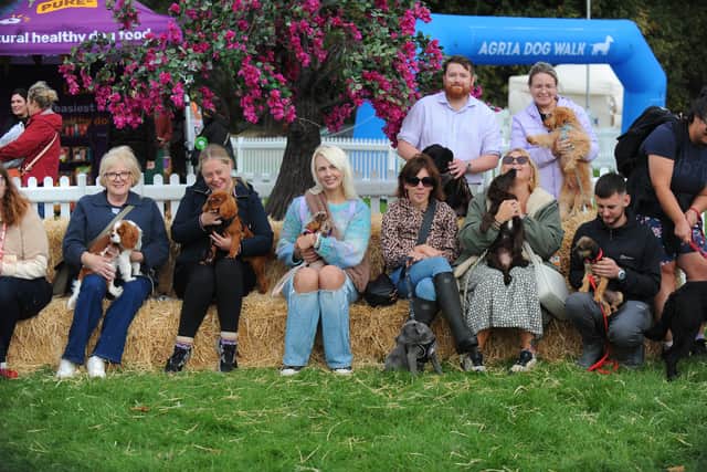 Owners and dogs at DogFest 2026