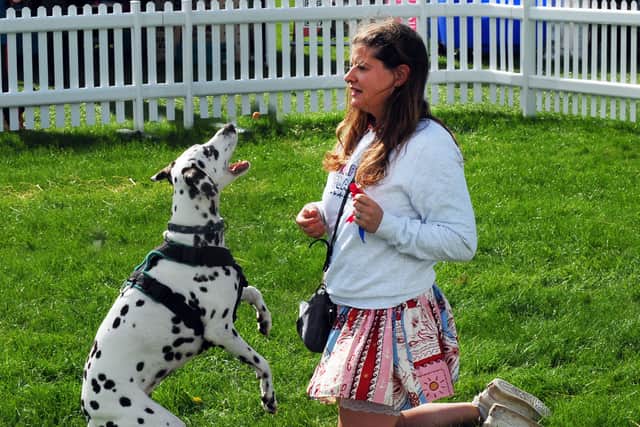 Best Trick competition at DogFest 2026