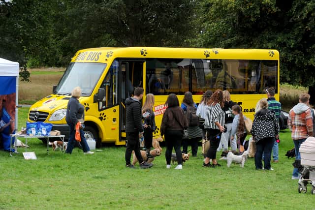 Billy’s Bus at DogFest 2026