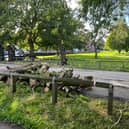 Tree felling has begun at Armley Park.