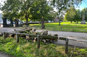 Tree felling has begun at Armley Park.