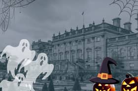 Double, double, toil and trouble - except when it comes to half-term plans for the kids this October at Harewood House