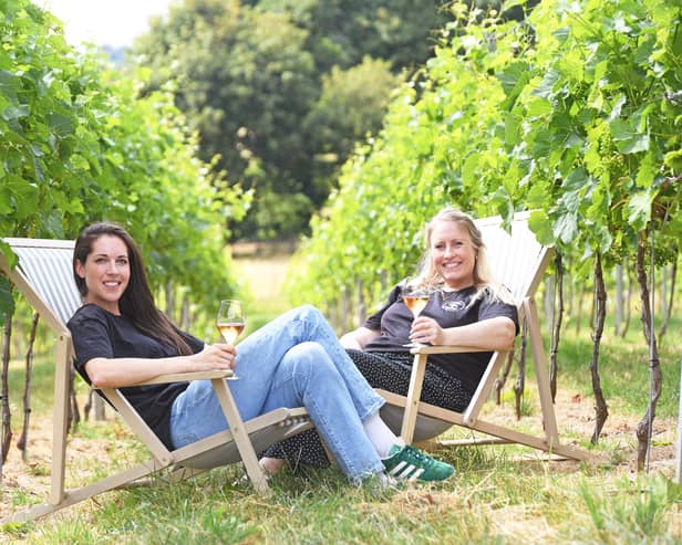 21st July 2026
Independant Business feature on Knotfield Vines, Rawdon.
Pictured Sophie Ellis and Laura Tillotson at the vineyard.
Picture Gerard Binks