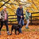 Family holidays for less than £100? You'd be surprised how many options there are