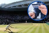 Lewis defrauded two companies out of tens of thousands of pounds and spent it on "high living", including a hospitality package to Wimbledon.