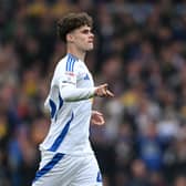NEXT STEP: With England for young Leeds United striker Harry Gray.
