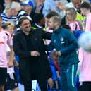 BACKING: For Leeds United and Brighton reminder from EFL pundit Don Goodman.