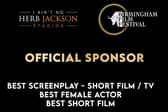 Birmingham Film Festival is a 10-day international film celebration 