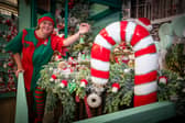 Take a look inside Tong Garden Centre, which is very much beginning to look a lot like Christmas already