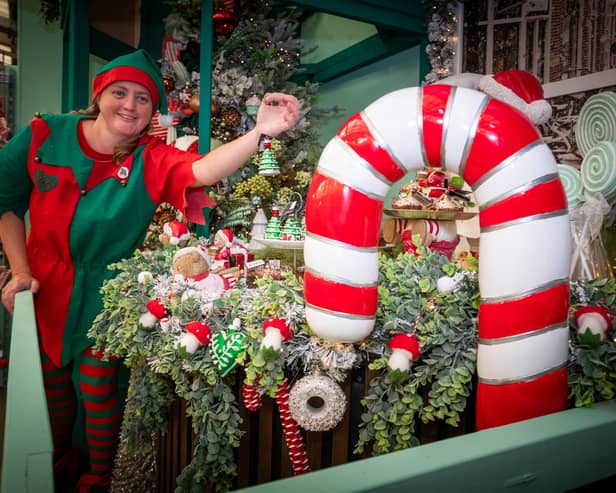 Take a look inside Tong Garden Centre, which is very much beginning to look a lot like Christmas already