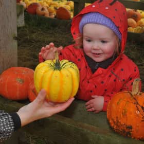 Pumpkins at Kemps Farm, Horsforth, Leeds sat 10-10=2026 pic Steve Riding
Rosie Sullivan, two of Halifax 