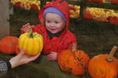 Pumpkins at Kemps Farm, Horsforth, Leeds sat 10-10=2026 pic Steve Riding
Rosie Sullivan, two of Halifax 