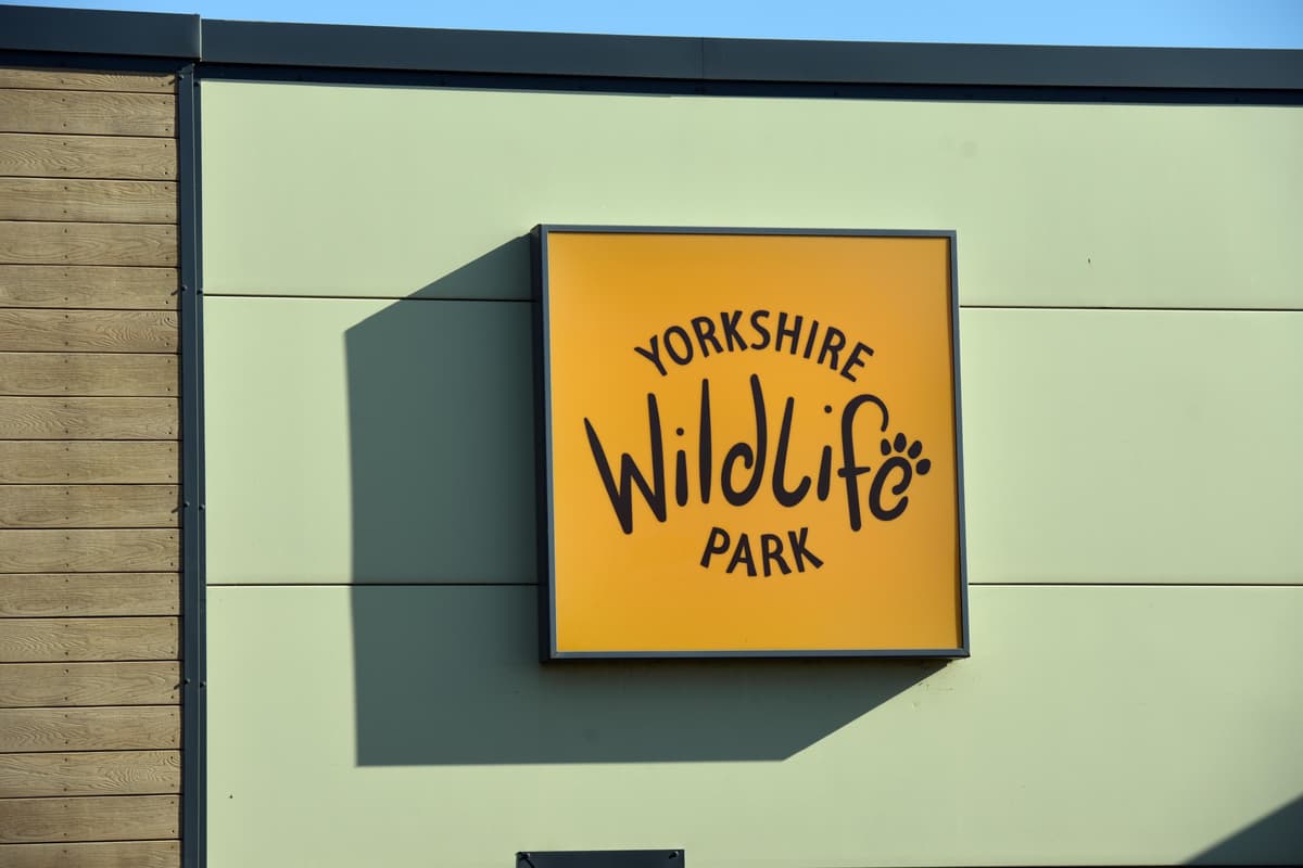 Yorkshire Wildlife Park soll nach tödlichem Tigerangriff wieder öffnen