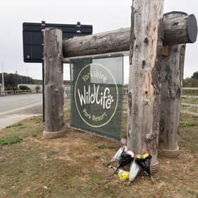 Yorkshire Wildlife Park: flowers are laid following the death of a man inside the park's tiger enclosure (photo, PA)