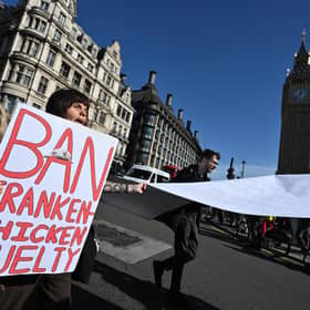 Campaigners claim customers are being ‘conned’ over chicken welfare standards