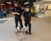 Police dog Roxy was on hand to help sniff out offenders during two days of action at Wakefield Westgate