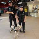 Police dog Roxy was on hand to help sniff out offenders during two days of action at Wakefield Westgate