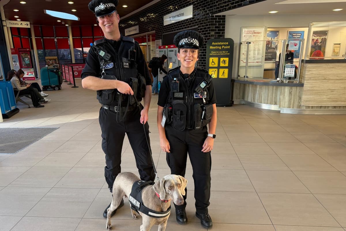 Cop Things Police dog Roxy helps uncover drugs as arrests are made in crime crackdown