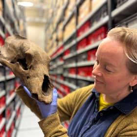 Clare Brown, Leeds Museums and Galleries’ curator of natural sciences, pictured with an Ice Age artefact.
