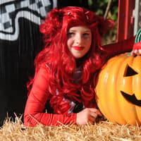 18 perfect pictures as families have fun at Leeds pumpkin patch festival