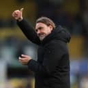 THUMBS UP: From Leeds United boss Daniel Farke.