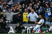 Leeds United are enjoying themselves this season.