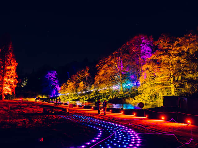 Vibrant light installations illuminate the tree-lined paths and estate grounds of Temple Newsam during a previous Northern Lights trail