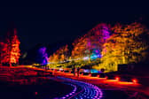 Vibrant light installations illuminate the tree-lined paths and estate grounds of Temple Newsam during a previous Northern Lights trail