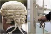 Pitts made comments about prison being easier than unpaid work, but apologised and was spared custody for a second time.