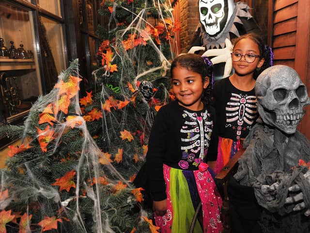 Sisters Mabel Agordo, four and Ayvah, six of Leeds  amongst the Halloween exhibits