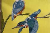 The festival celebrated wildlife through a series of exhibitions, workshops, and talks from local guest speakers.