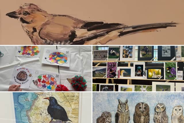 A selection of feathered friends from festival's art exhibition