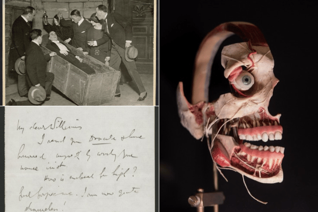 From medieval mutilation to 'Quite Shameless' icon: new University of Leeds exhibition traces Vampire lore