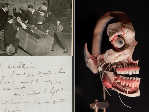 Highlights from Quite Shameless: Cultural Reflections on the Vampire at the University of Leeds, featuring archival theatrical production stills, Bram Stoker’s 1897 handwritten letter declaring "Lord forgive me, I am now quite shameless", and historical anatomical models tracing the line between science and horror folklore