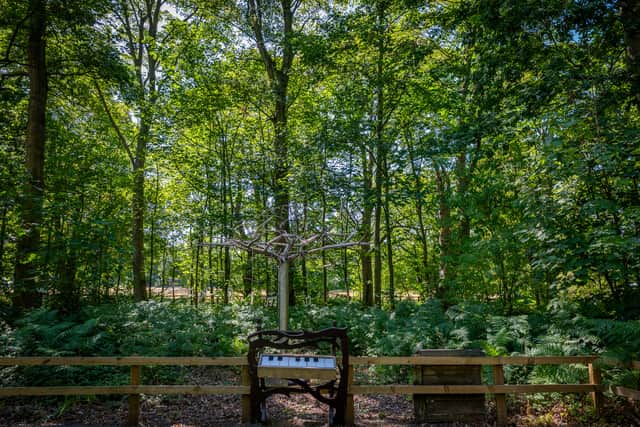 Stockeld Park, near Wetherby.